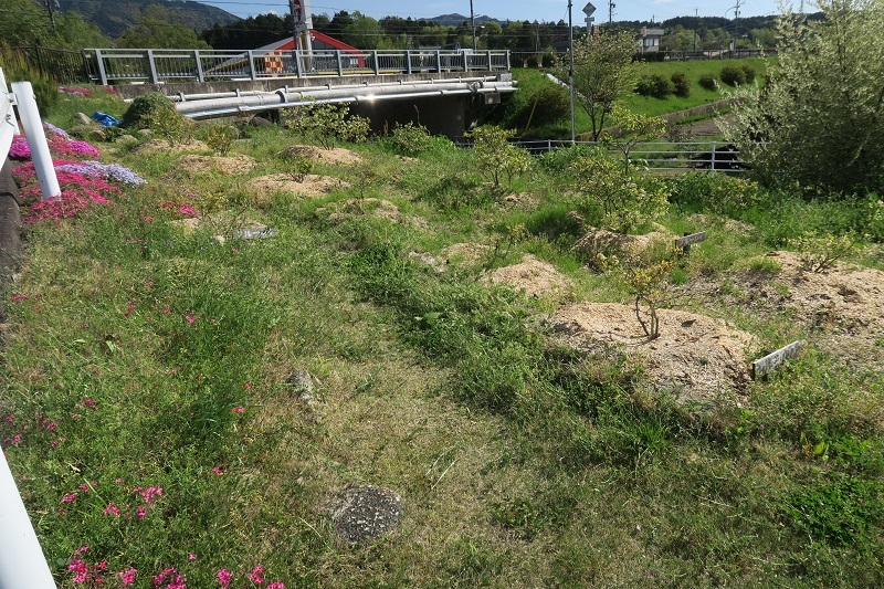 SVX遂に公道へ復帰!_f0076731_20544929.jpg