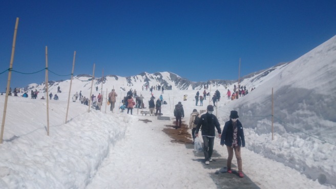 立山　雪の大谷ウォーク②_f0364035_20384533.jpg