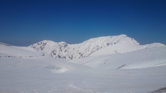 立山　雪の大谷ウォーク②_f0364035_23354135.jpg