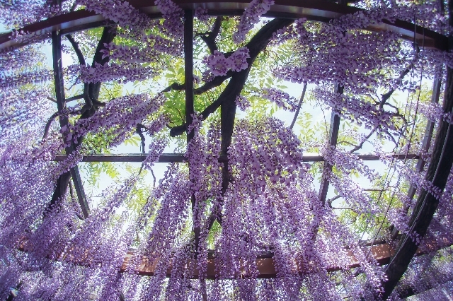 f0158043_22343749.jpg