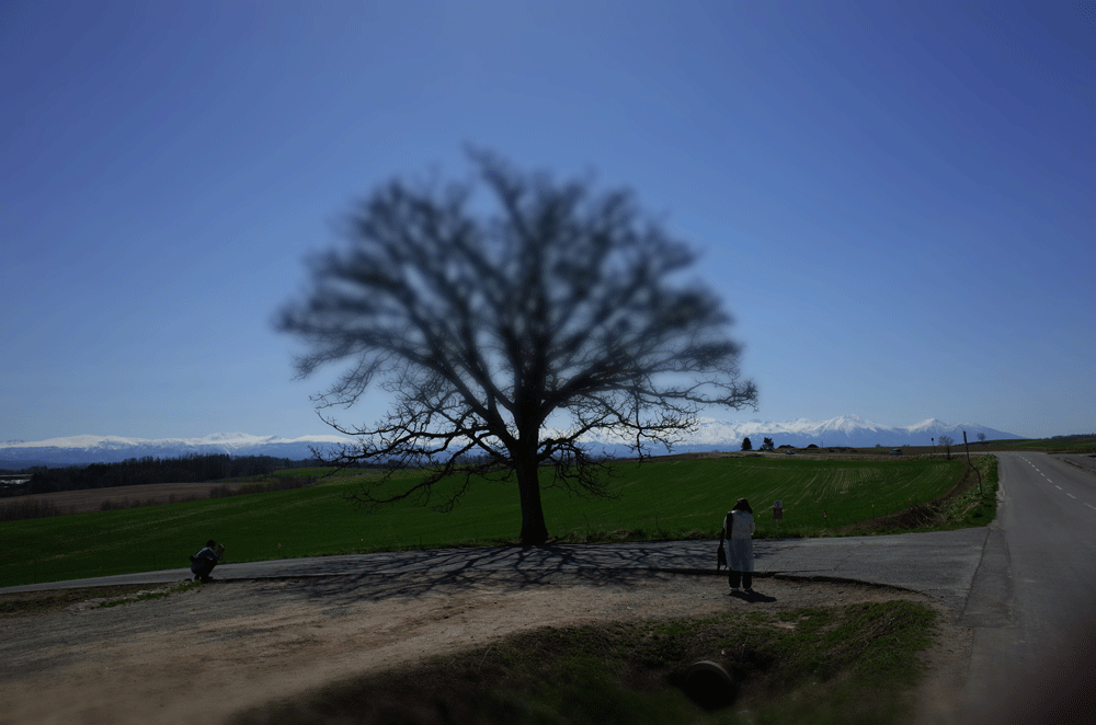 c0162846_949711.gif