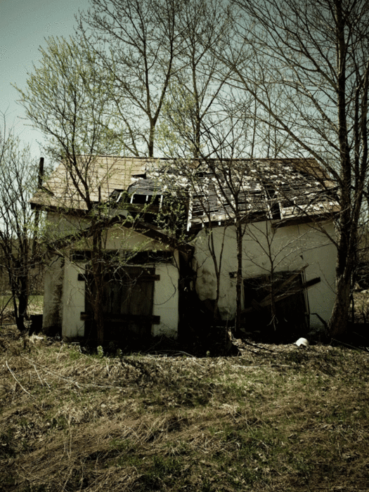 c0162846_9502377.gif