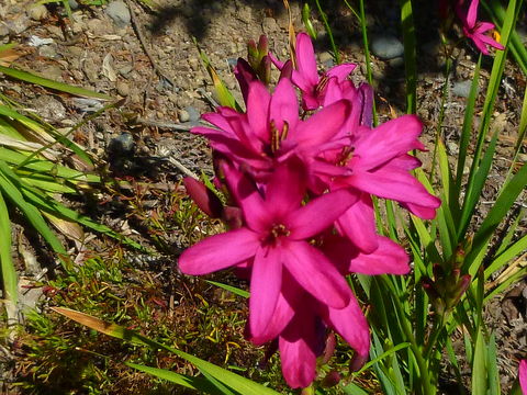 b0002549_10554457.jpg