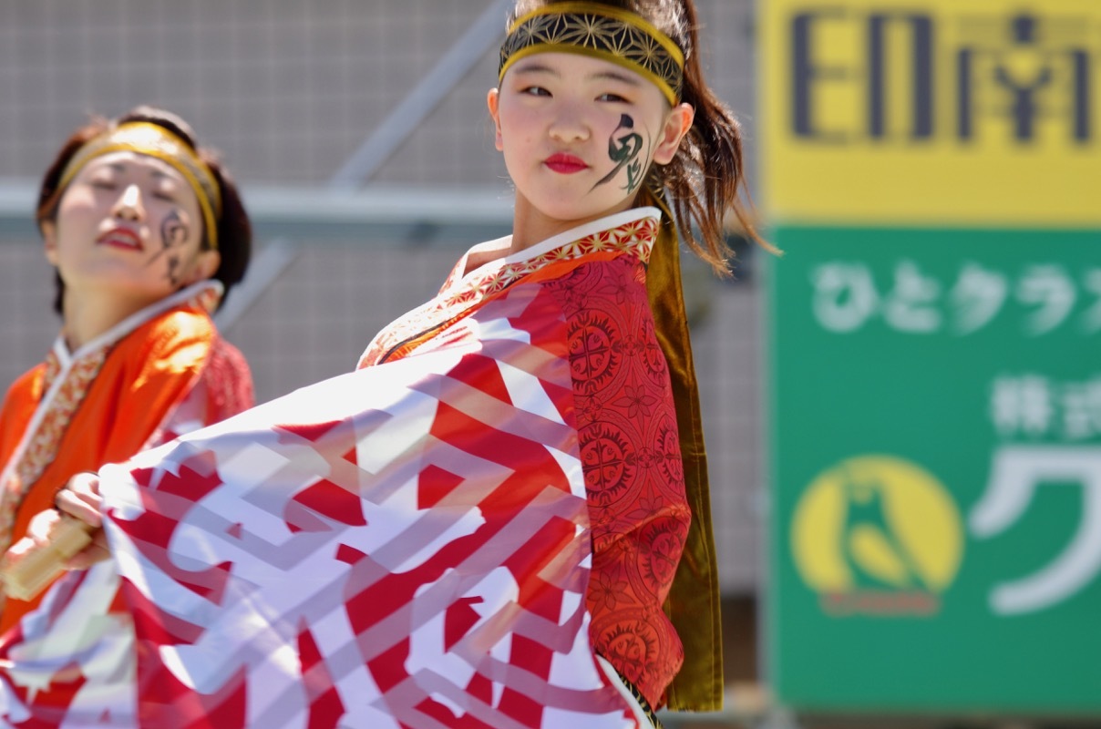 ２０１７加古川踊っこまつり２日目（撮り急ぎ！その１）_a0009554_00364201.jpg