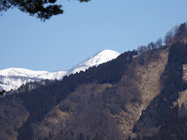 f0140054_91556.jpg