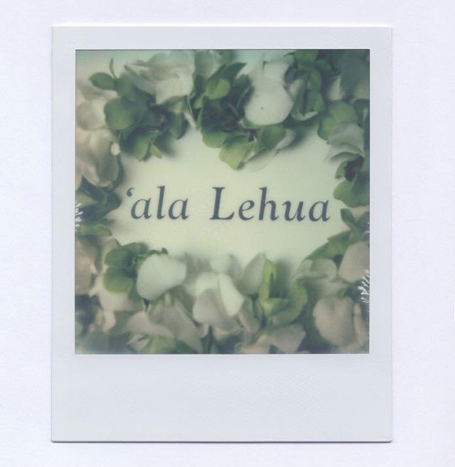 HAWAIIAN HERB BLEND TEA_e0130464_1863916.jpg