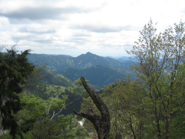 2017.5.5 東宮山1091ｍ_c0219866_19520330.jpg