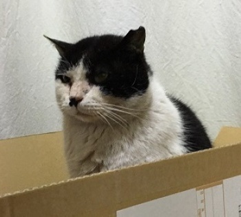 ・受講生の微妙な感じや機微を常に感じ取って_f0325471_19374776.jpg