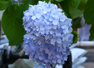 c0197980_04280239.png