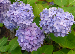 c0197980_04280996.png