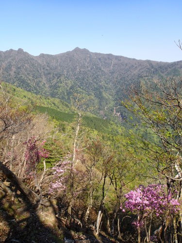 f0223480_18522793.jpg