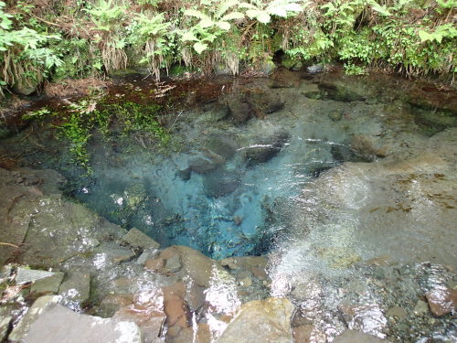 f0223480_23021892.jpg