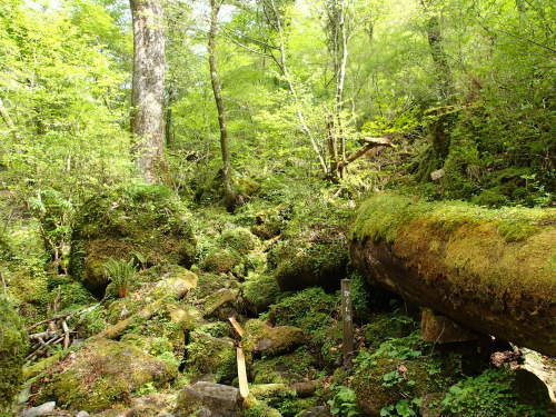f0223480_23050375.jpg