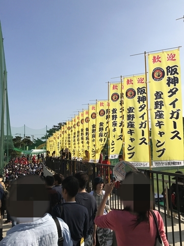 2017年2月　阪神 対 日ハム戦 ＠ 宜野座村営野球場_f0299682_20282379.jpg