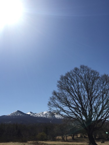 おすすめ早朝コーヒー_a0134394_06494173.jpg