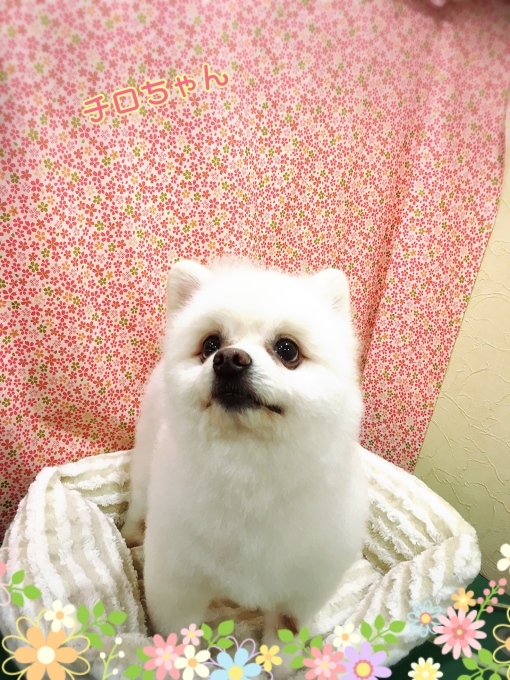 d0269898_14031914.jpeg