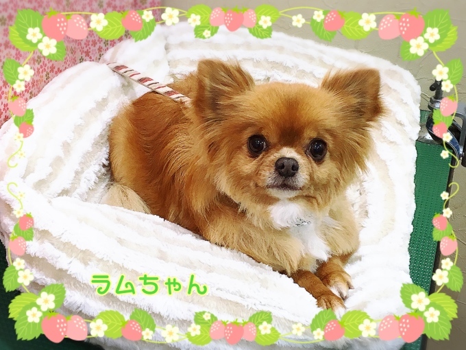 d0269898_14041770.jpeg