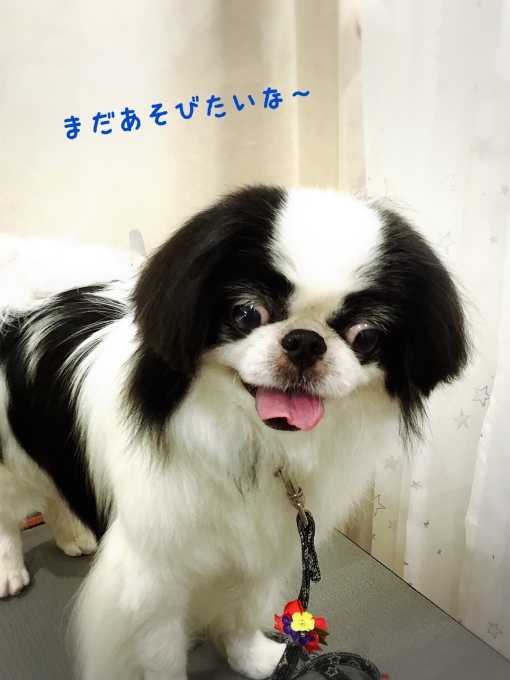 d0269898_18393279.jpeg