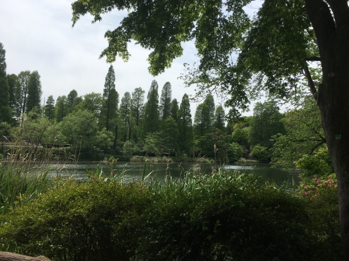 d0269898_18442982.jpeg