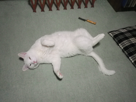 f0239100_22071567.jpg