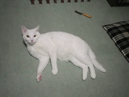 f0239100_22161508.jpg