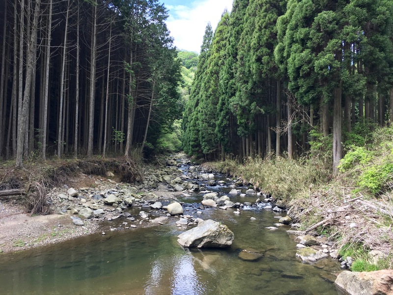 止々呂美・上音羽・別院・曽我部・本梅_a0035404_9464810.jpg