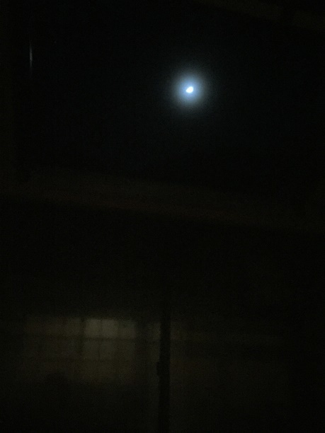 f0364707_23210510.jpg