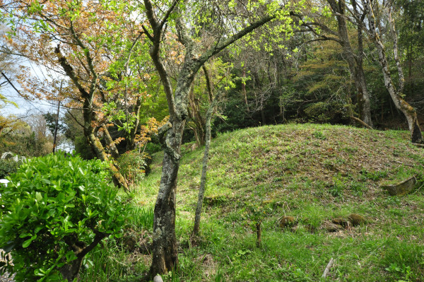 f0188408_13164499.jpg