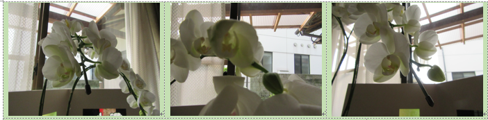 f0231709_11220438.png