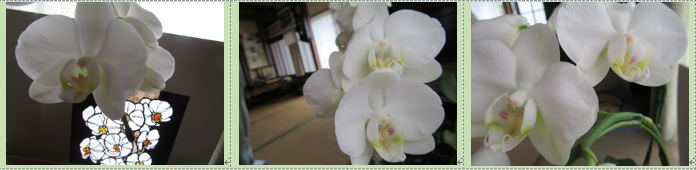 f0231709_11293519.png