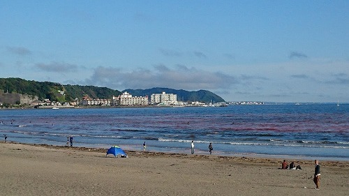 c0155110_17452406.jpg