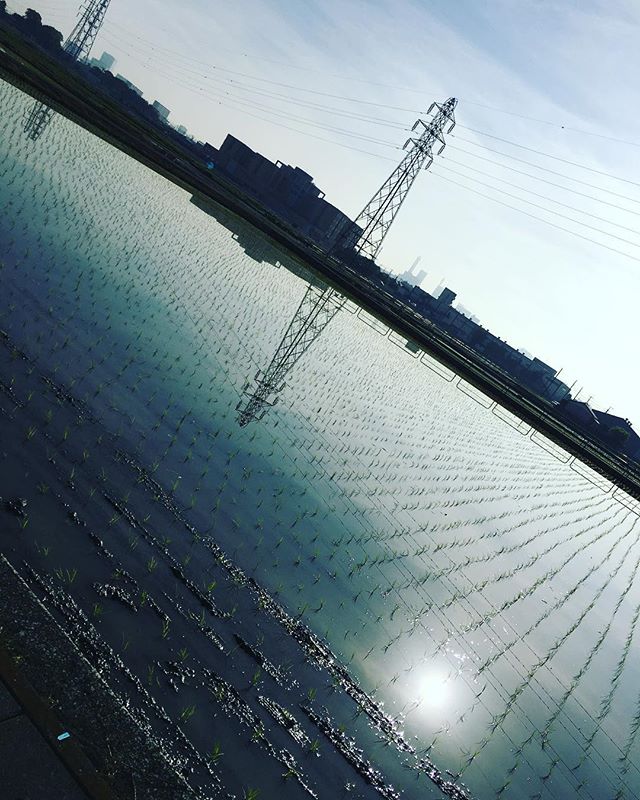 f0178412_1516119.jpg