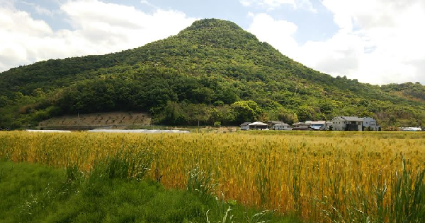 お遍路に行ってきました(中平)_f0354314_14573905.png