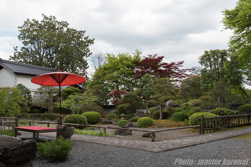 2017.5.5 普門寺のシャクナゲ_b0366519_00301483.jpg