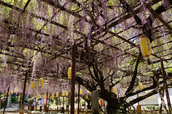 c0020320_16025891.jpg