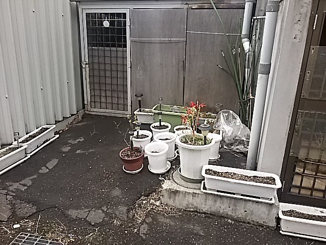 f0227321_12281475.jpg
