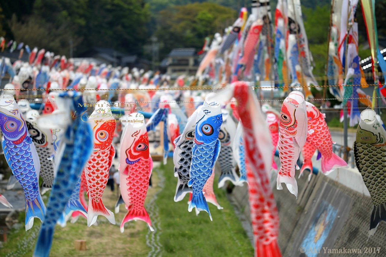 まゝに/能登半島一周/特急便1_d0342426_22350440.jpg