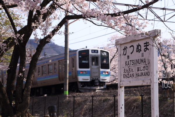 １７年桜紀行１６．勝沼ぶどう郷駅・甚六桜その１_f0229832_09224847.jpg