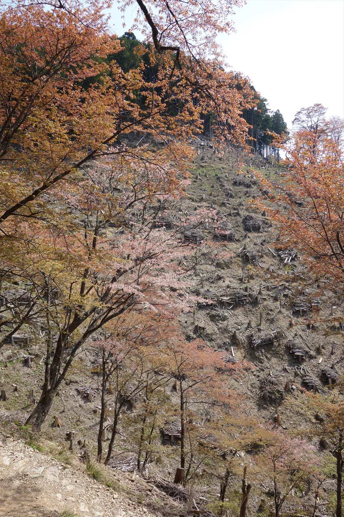 f0348933_14382837.jpg
