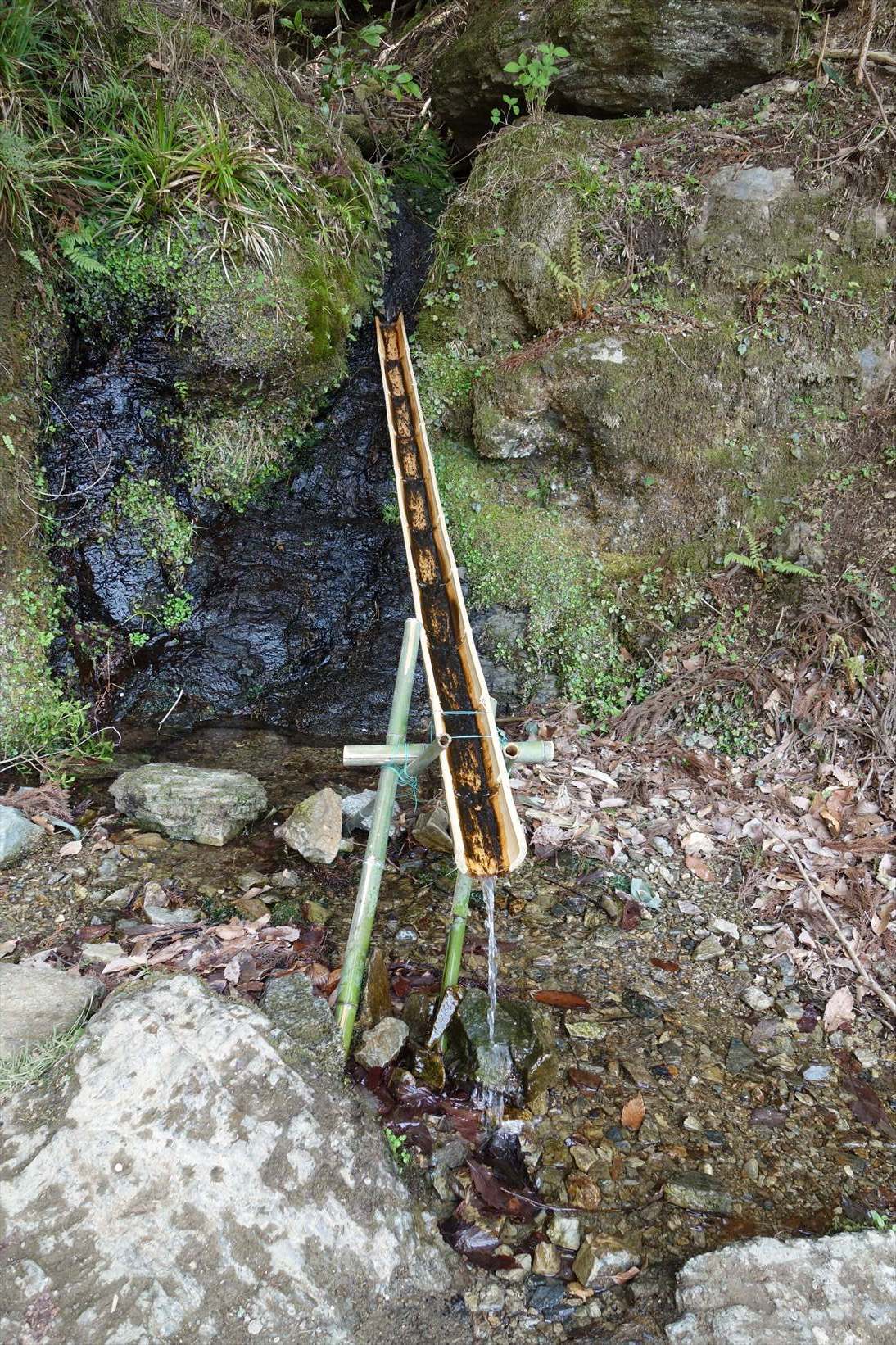 f0348933_14422821.jpg