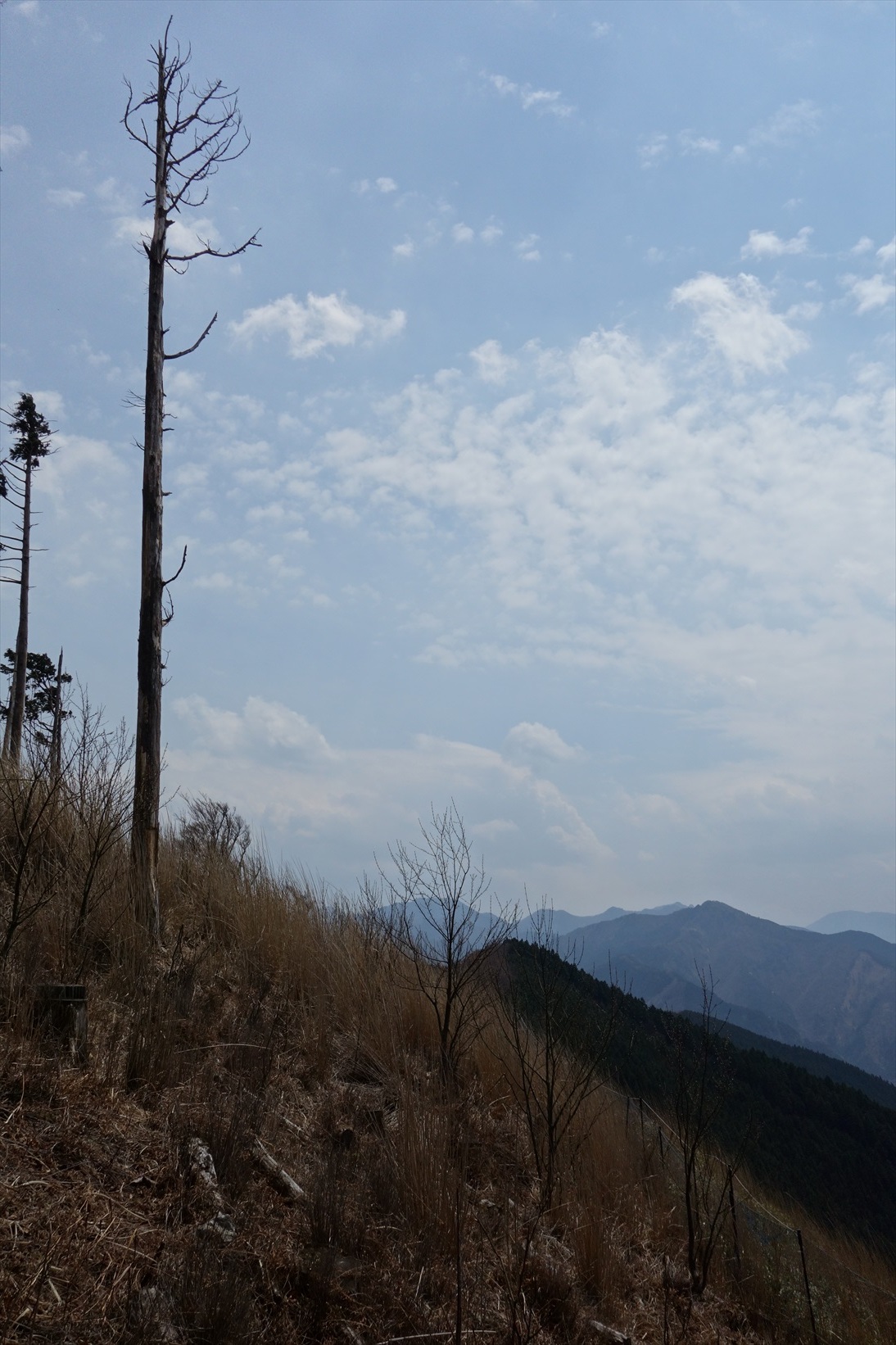 △　大峰山参詣道の吉野古道を行く　△_f0348933_14493898.jpg