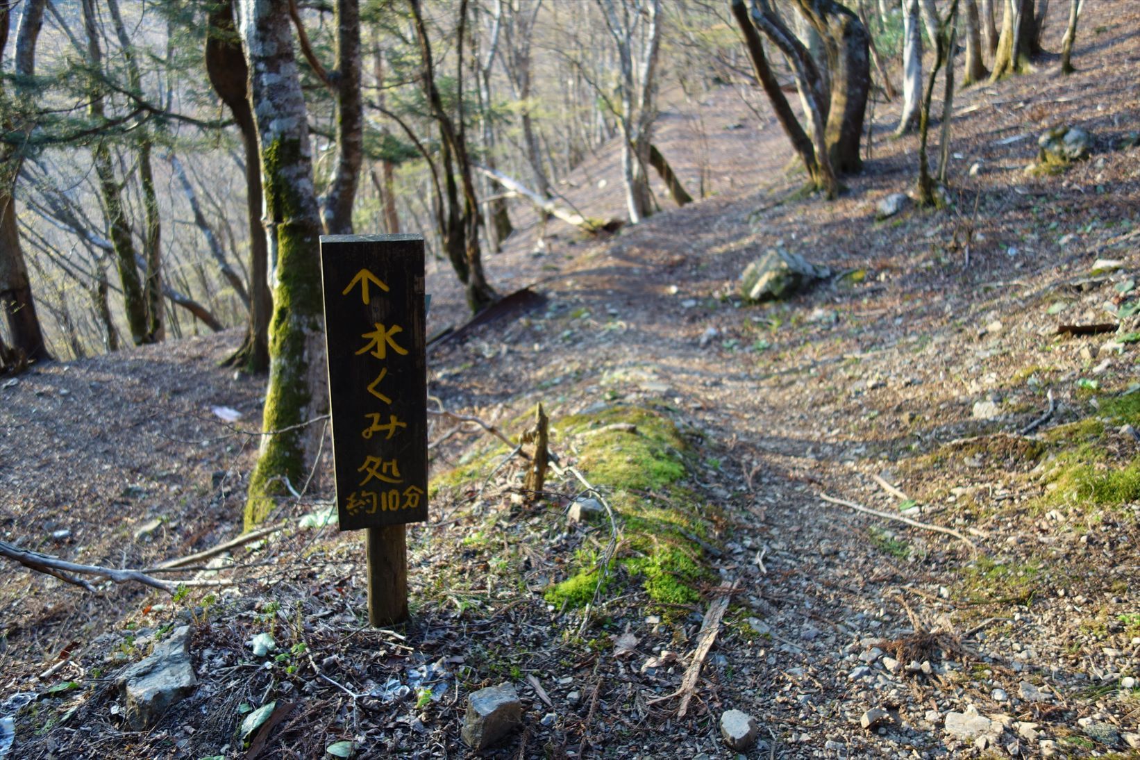 △　大峰山参詣道の吉野古道を行く　△_f0348933_15064086.jpg