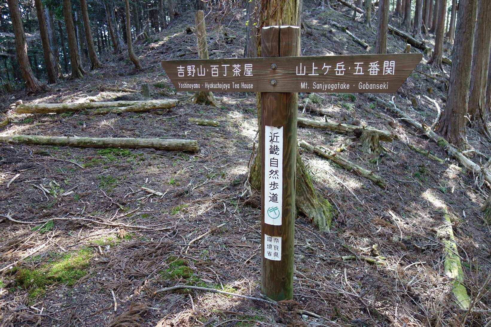 △　大峰山参詣道の吉野古道を行く　△_f0348933_15193813.jpg