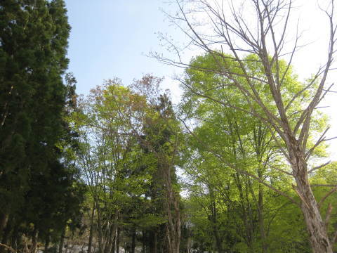 a0158236_12442874.jpg