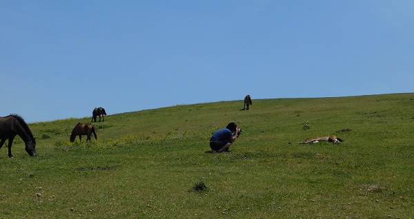 f0042737_1439056.jpg