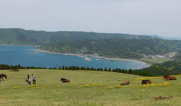 f0042737_1443098.jpg