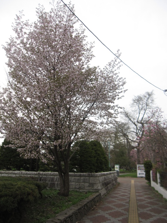 a0279743_8434117.jpg