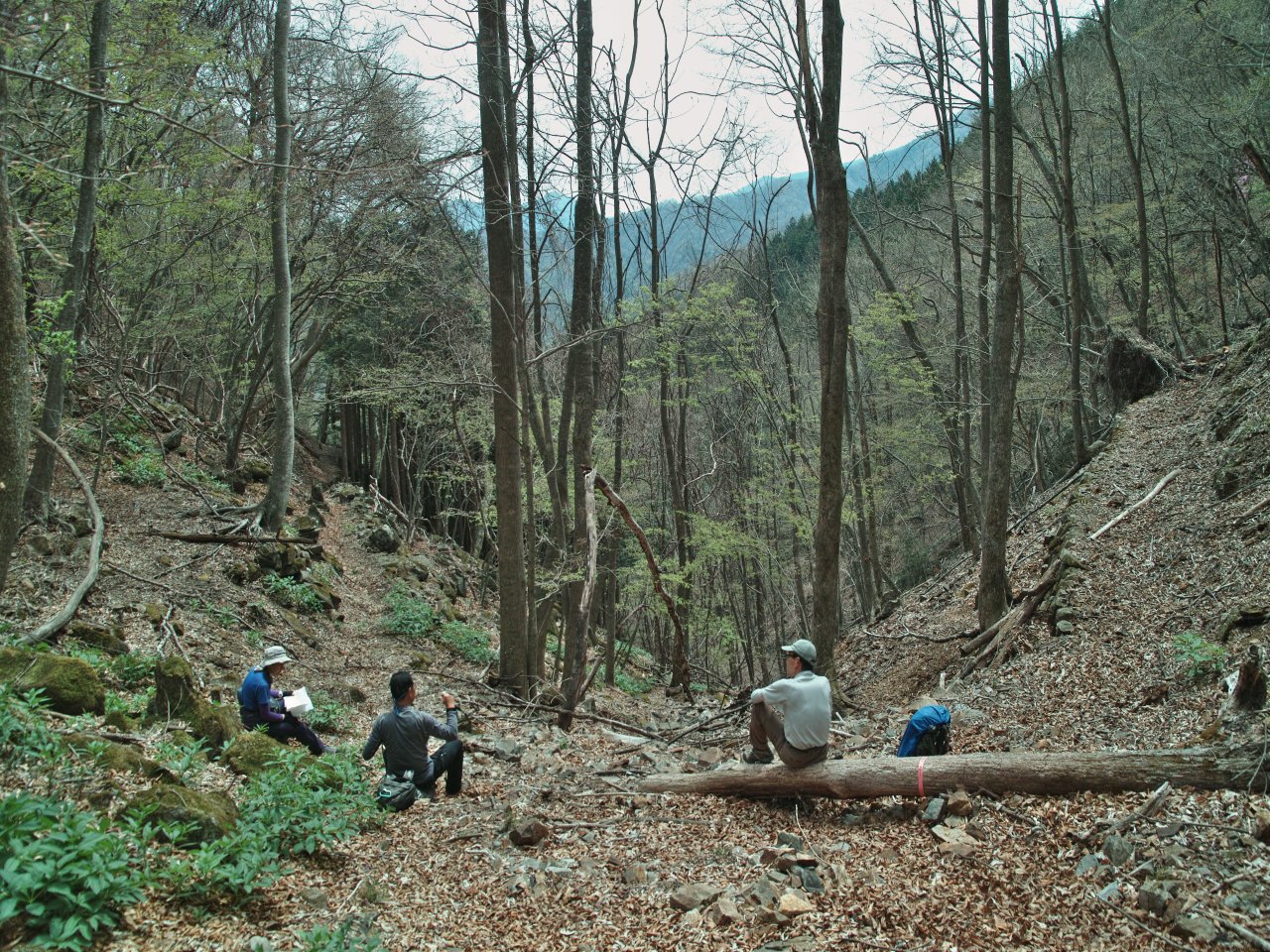 巡視路地図を携えて、小菅川左岸中腹道巡り_c0008948_1242942.jpg