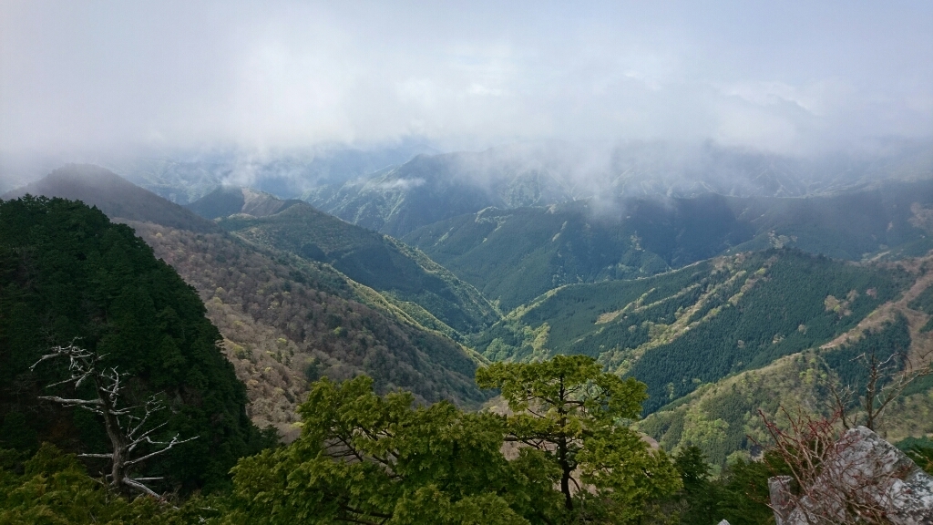 大峰　和佐又山ﾋｭｯﾃ～大普賢岳～七曜岳～和佐又山ﾋｭｯﾃ_b0148050_16172043.jpg