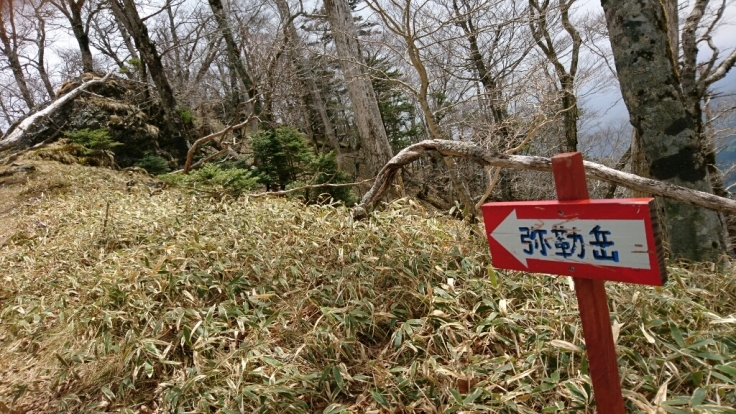 大峰　和佐又山ﾋｭｯﾃ～大普賢岳～七曜岳～和佐又山ﾋｭｯﾃ_b0148050_17351241.jpg